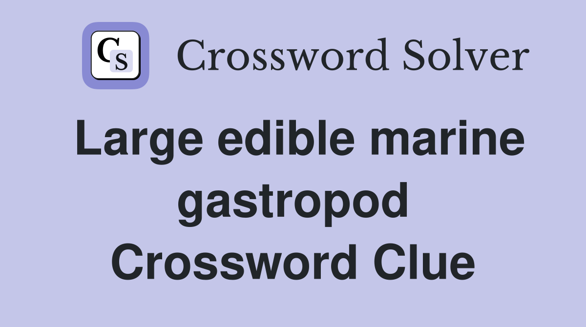 Large edible marine gastropod Crossword Clue Answers Crossword Solver